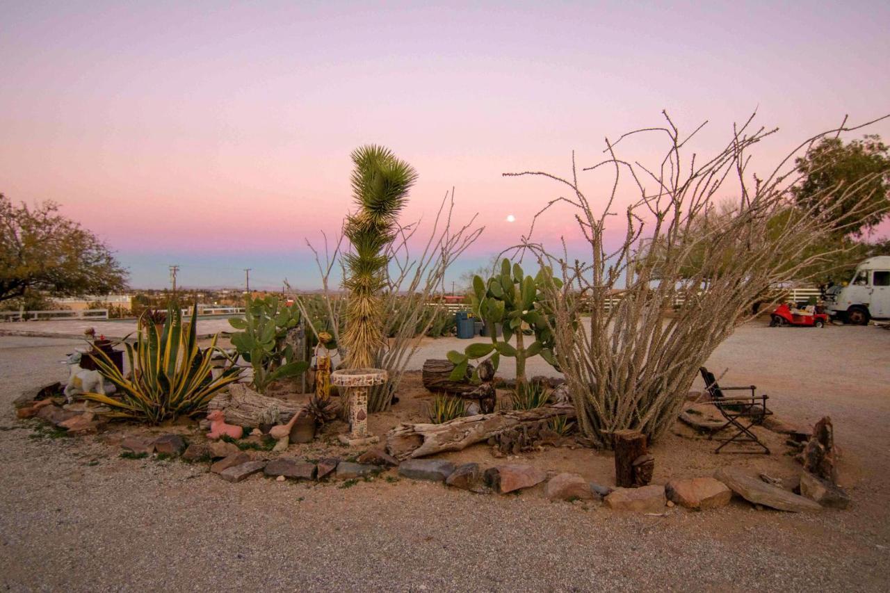 Joshua Tree Ranch House Motel Buitenkant foto